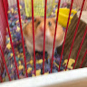 Meet your Posher, Mariela